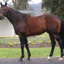 선인목장 이미지