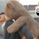 (주)넥스타엔터테인먼트 Daum카페
