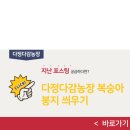피자2001 이미지