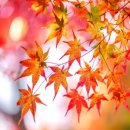 성공공인중개사사무소 이미지