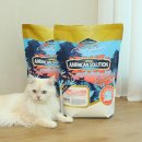 진솔솔루션 이미지