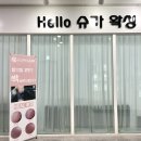 헬로슈가 이미지