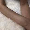 바오왁싱 이미지