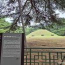 여름탐방(가족) 이미지