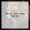 무장전자