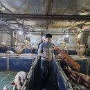 유일농장2 이미지