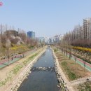 시민의숲산책로1-11 이미지