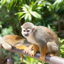 호텔 레드하우스 이미지