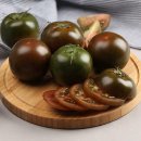 토마토2 이미지