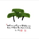 숲으로 가는 길 네이버블로그