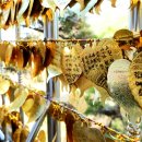 연마고시원