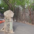 시례공원 네이버블로그