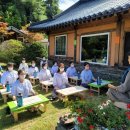 장선꽃차 이미지