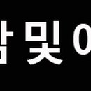 브랜든시티의원 이미지