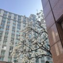 세라젬 분당정자직영점 | 정자역 맛집 점심 까몬 분당정자직영점 메뉴 추천 및 솔직후기