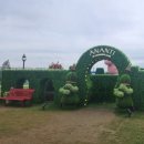 미로정원 | [전시] 2024 아난티 인 원더랜드 / 아난티 미로정원