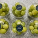 샤인유치원 이미지