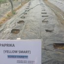 (주)코피아 이미지