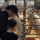 더 채움교육 이미지