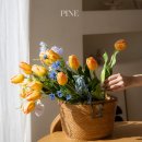영원히 간직되는 싱그러움 PINE 프리미엄 튤립 조화