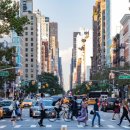 동탄대로 이미지