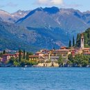 꼬모의 산책 이미지