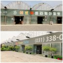 거실 식물 필요할 땐 용인 남사화훼단지로 고고! 그런데 그냥 가면 헤매는 이유, 네비는 어디로?