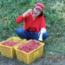 호반농장 이미지