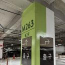 (주)한화갤러리아타임월드 | [롯데월드 아이랑 주말 방문 후기] 포토존 티니핑 포토타임 웨이팅 티니핑 퍼레이드 주차