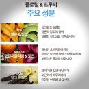 헬로폼폼