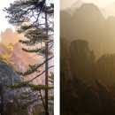 황산카정비