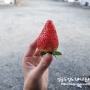 경주글램존 이미지