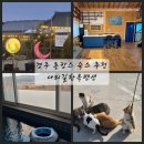 송이도친환경가족펜션 | 경주 촌캉스 숙소 가성비 나리길한옥펜션