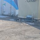 강나루 생선구이 이미지