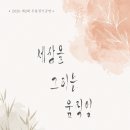 2020 충청북도댄스연맹 무용정기공연 ''세상을 그리는 움직임'' 이미지