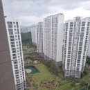 진해벚꽃공인중개사사무소 이미지