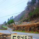 우리집토종닭 | 가평 닭도리탕 맛집 도원가든｜현지인 인정 토종닭 맛집, 예약 필수 후기