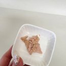 맘맘이야 이미지