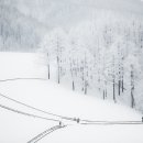 낙원A목장 이미지