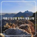 동학사삼거리~계룡시 경계 | 계룡산 장군봉 동학사 벚꽃산행