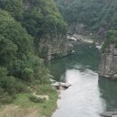 DMZ, 평화의 편지 이미지