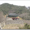 금성사우나 이미지