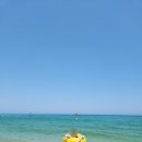 동해세탁소 - 태백시 황지로 293-1 | 동해세탁소