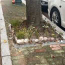 북길스테이 이미지