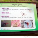 눈늪목장 네이버블로그