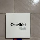 오버리히트