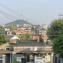 종로-신영-종로-영-411 | 월간 일기_2024년 5월 (생각의 가지치기가 필요해 🌳)