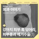 송악 동물병원 이미지