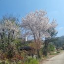 목동1리 마을회관 이미지