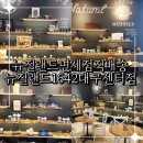 뉴질랜드 1642 대구센터점